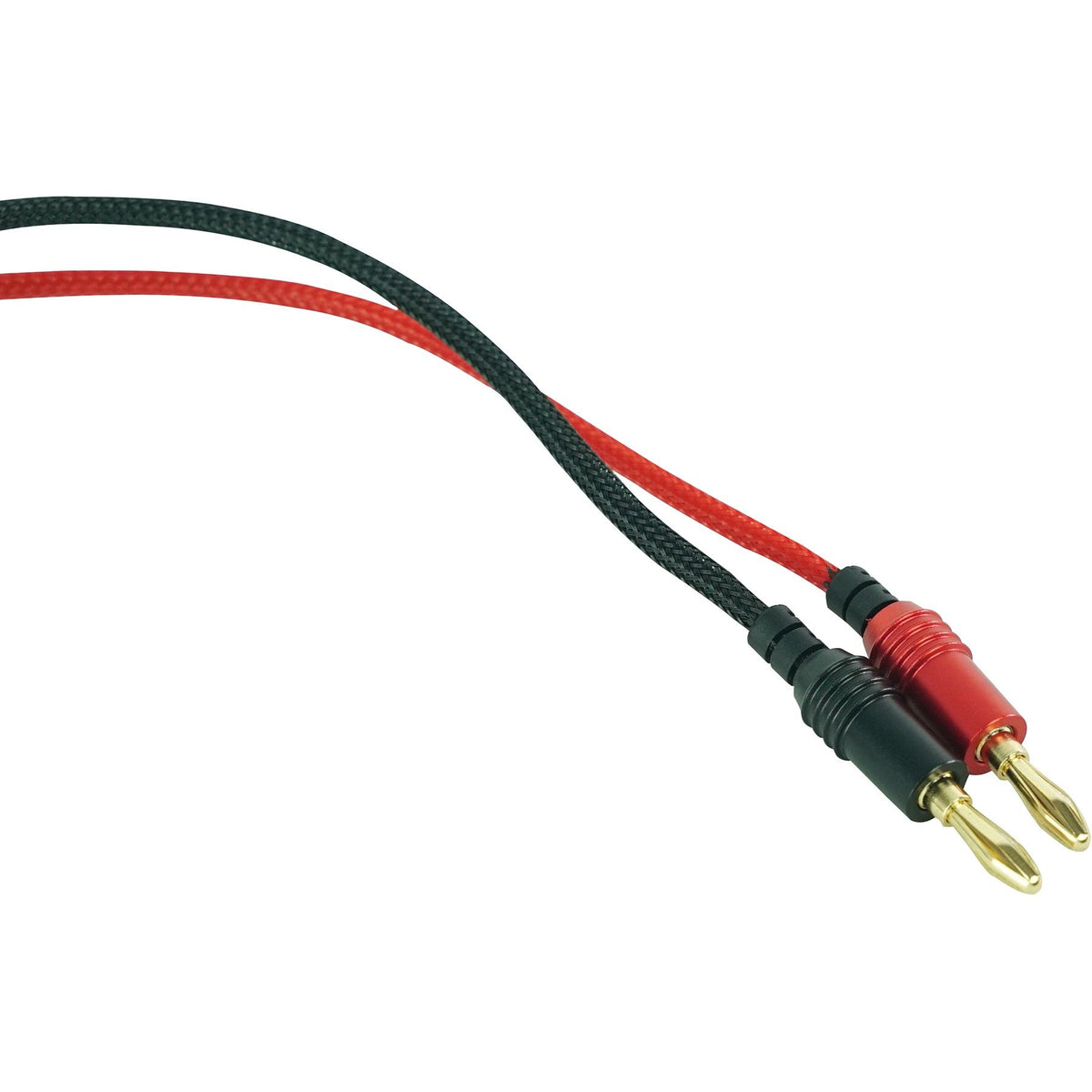 BN10 8-Pack