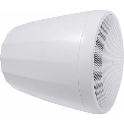 VMA1120 Amplifier + (2) JBL Control 65P/T White Pendant Speakers