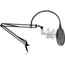 DMS40 + Pop Filter + Silver Shock Mount Bundle