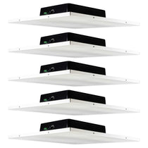 DCS8T 5-Pack
