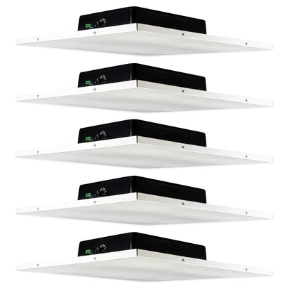 DCS8T 5-Pack