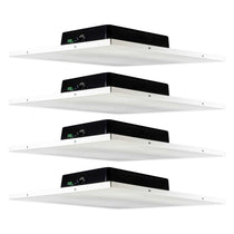 DCS8T 4-Pack
