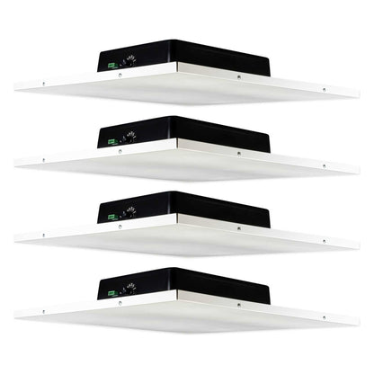 DCS8T 4-Pack