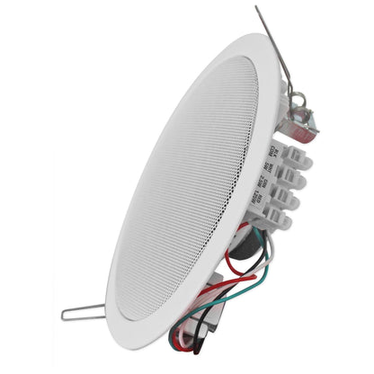 CCL5T WHITE 5 Quad-Pack