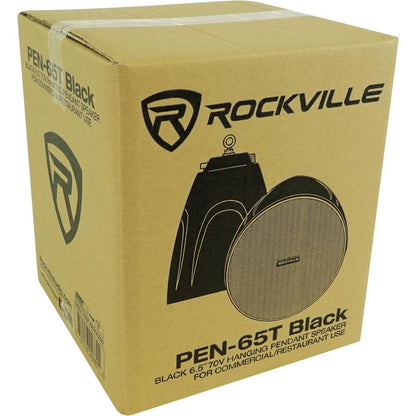 RCS80-1 60W Amp 2-Pack + PEN-65T Black Pendant Speakers Bundle