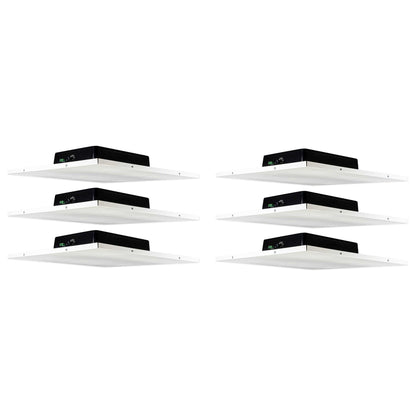DCS8T 6-Pack
