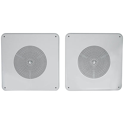 MS81 5-Pair