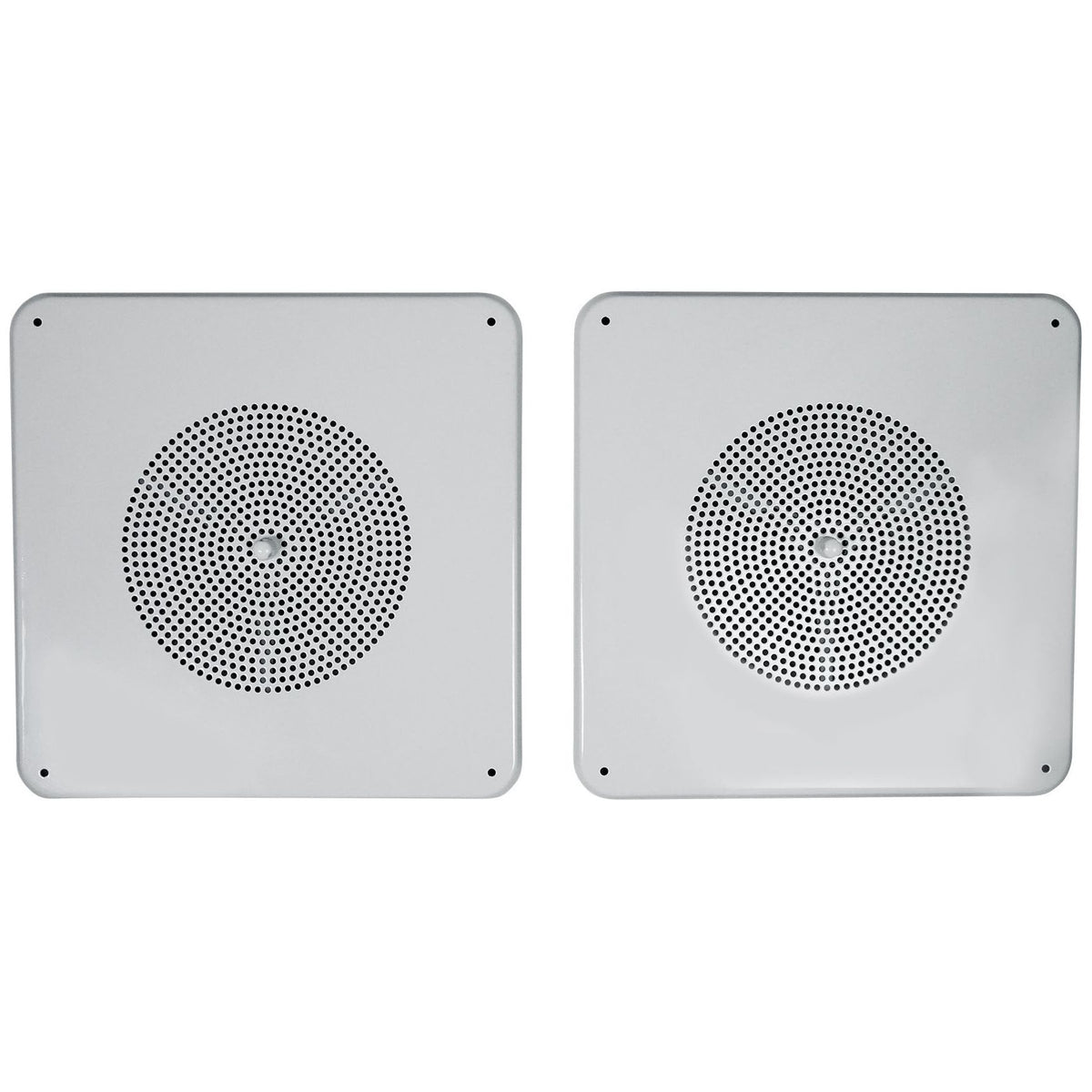 MS81 4-Pair