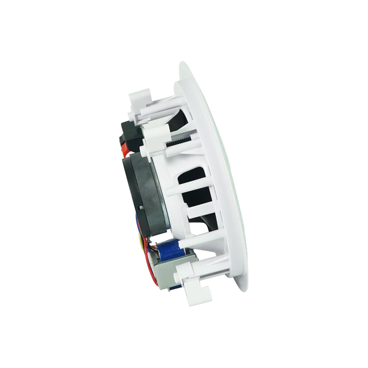 CC65T White 5-Pair