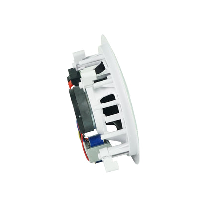 CC65T White 5-Pair