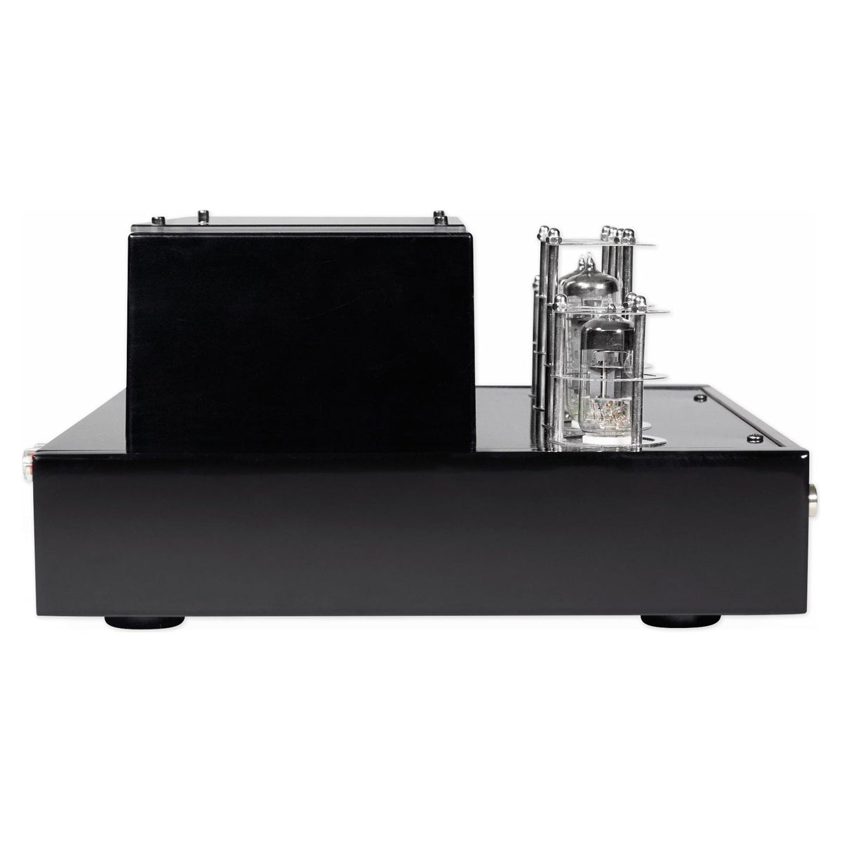 BluTube SG Tube Amplifier + (2) 8" PA Speakers + 8" Subwoofer