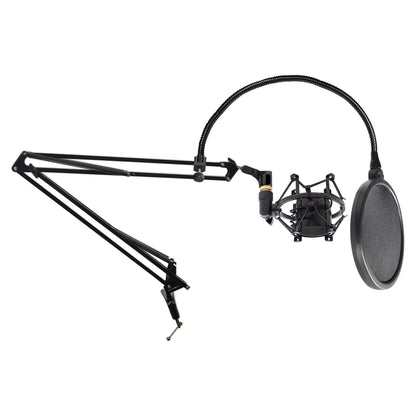 DMS40 + Pop Filter + Shock Mount Bundle