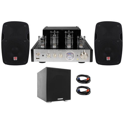 BluTube SG Tube Amplifier + (2) 8" PA Speakers + 8" Subwoofer