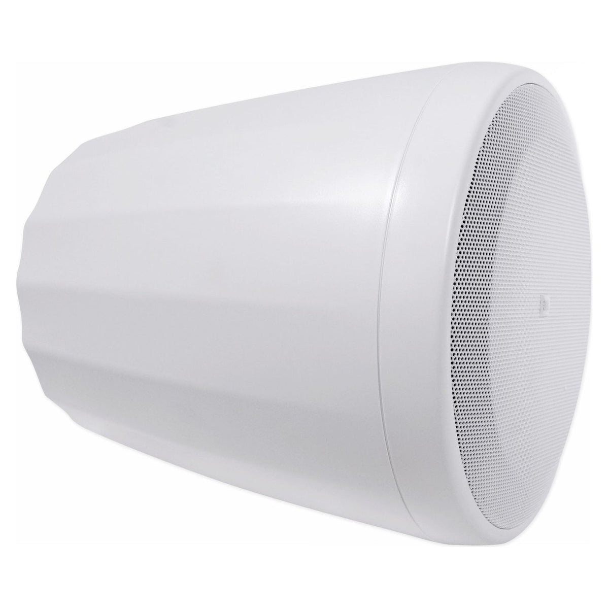 Control 65P/T-WH 5.25" 70V Pendant Speakers, Set of 10