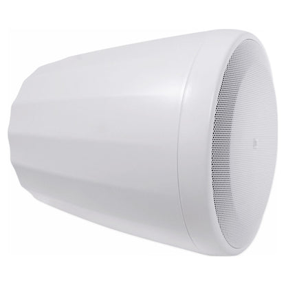 Control 65P/T-WH 5.25" 70V Pendant Speakers, Set of 10