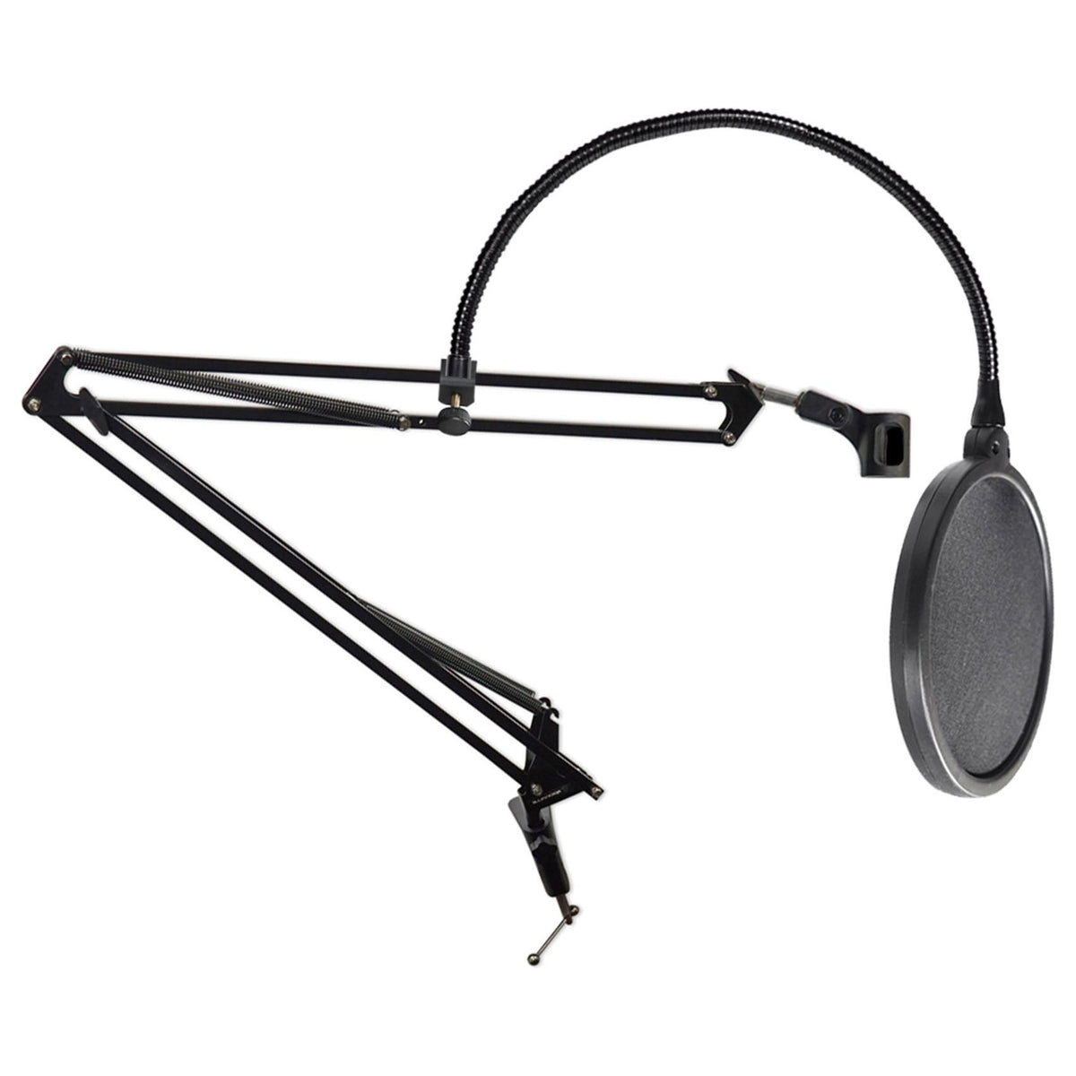 DMS40 Microphone Boom Arm Studio Podcast Mic Stand+Clamp+Pop Filter
