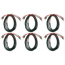 BN10 6-Pack