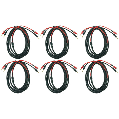 BN10 6-Pack