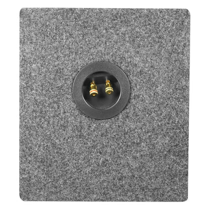 RS65