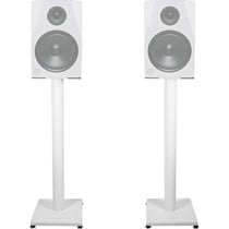 RS29W V2