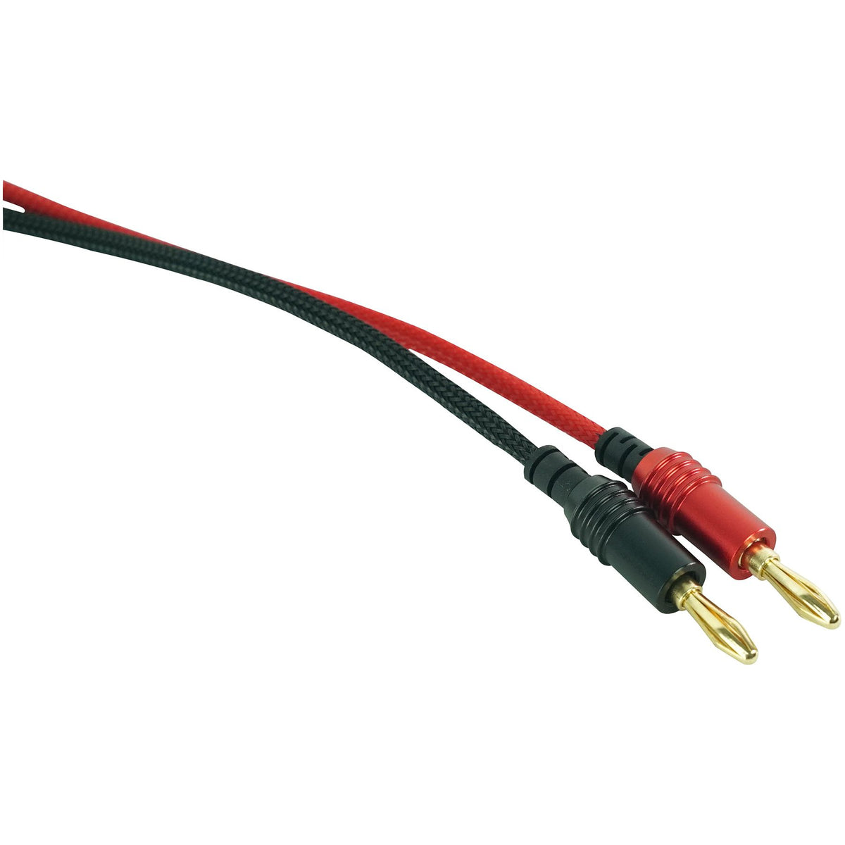 BN20 6-Pack