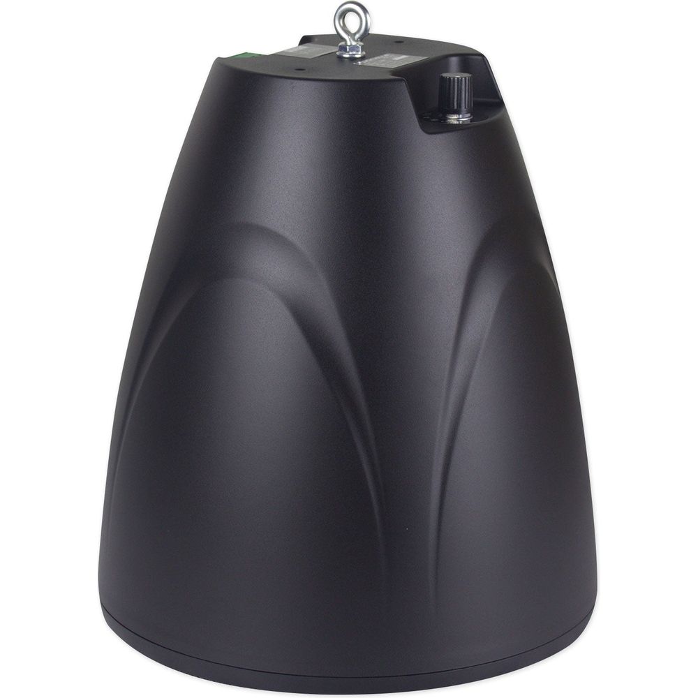 RCS80-1 60W Amp 2-Pack + PEN-65T Black Pendant Speakers Bundle