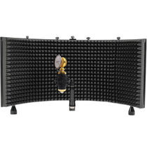 RCM02 Studio Recording Condenser Microphone+Shock Mount+Vocal Shield