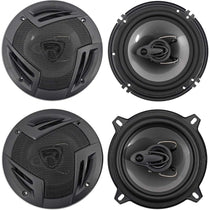 RV6.3A + RV5.3A Bundle
