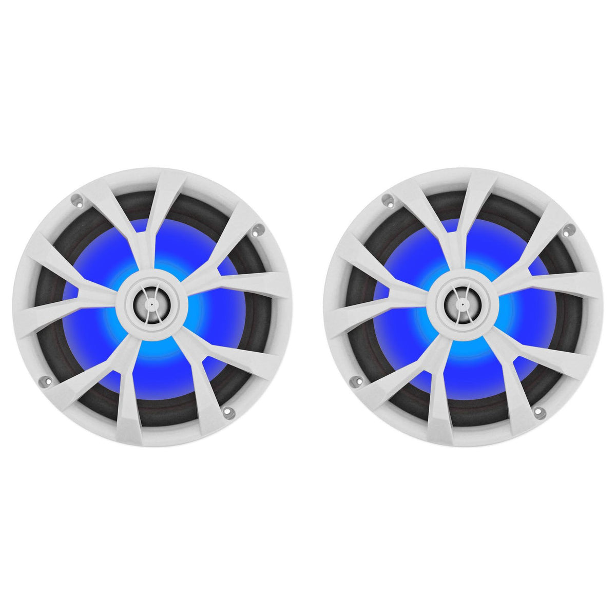 RKL80MW LED White 6-Pack + DBM65 Marine Amplifier Bundle