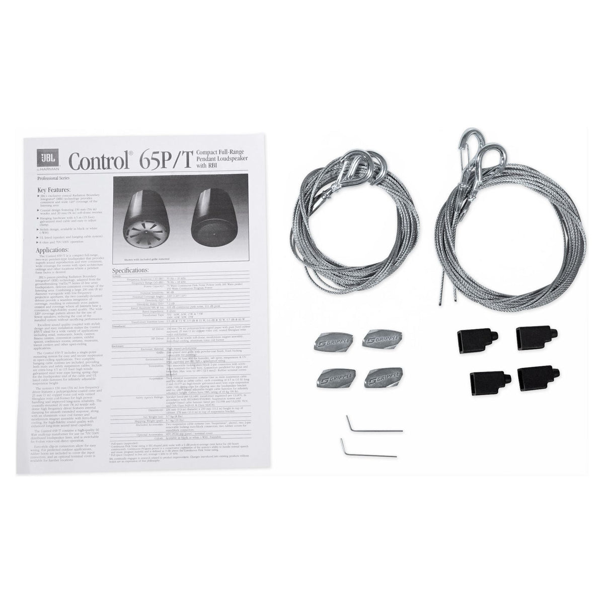 Control 65P/T-WH 5.25" 70V Pendant Speakers, Set of 10