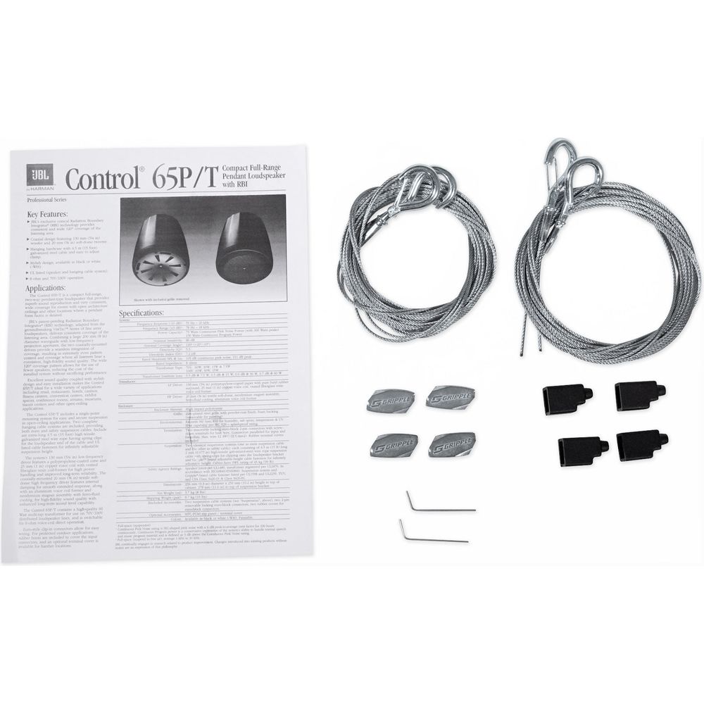 Control 65P/T-WH 5.25" 70V Pendant Speakers, Set of 6